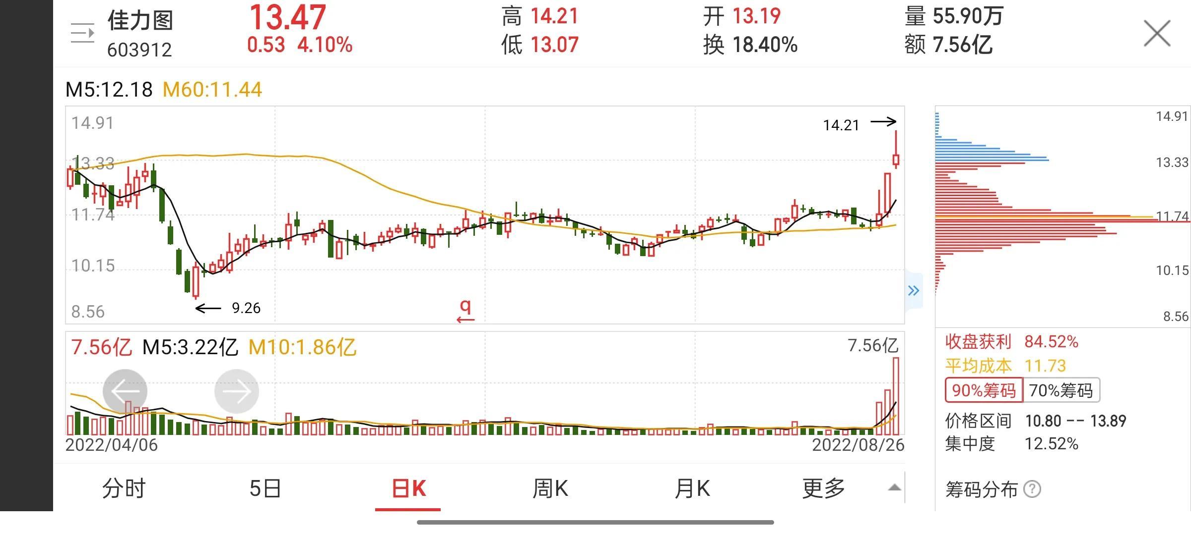 炒股配资公司