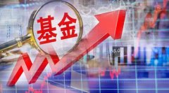 股票实盘配资|什么信号？大跌中又出爆款基金 '抄底'资金看好年轻基金经理？